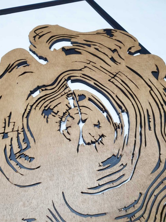 fbd4fbf84c51ab9b271b7ffed9dd