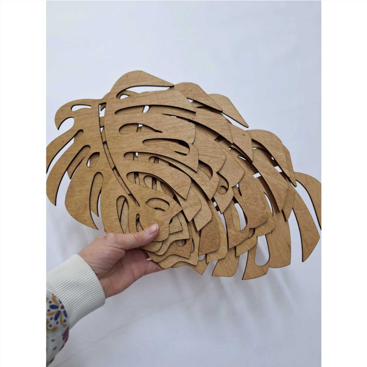 mosterra drew zestaw6.jpg