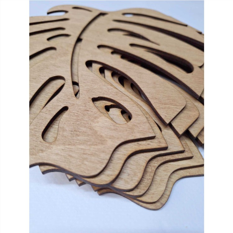 mosterra drew zestaw5.jpg