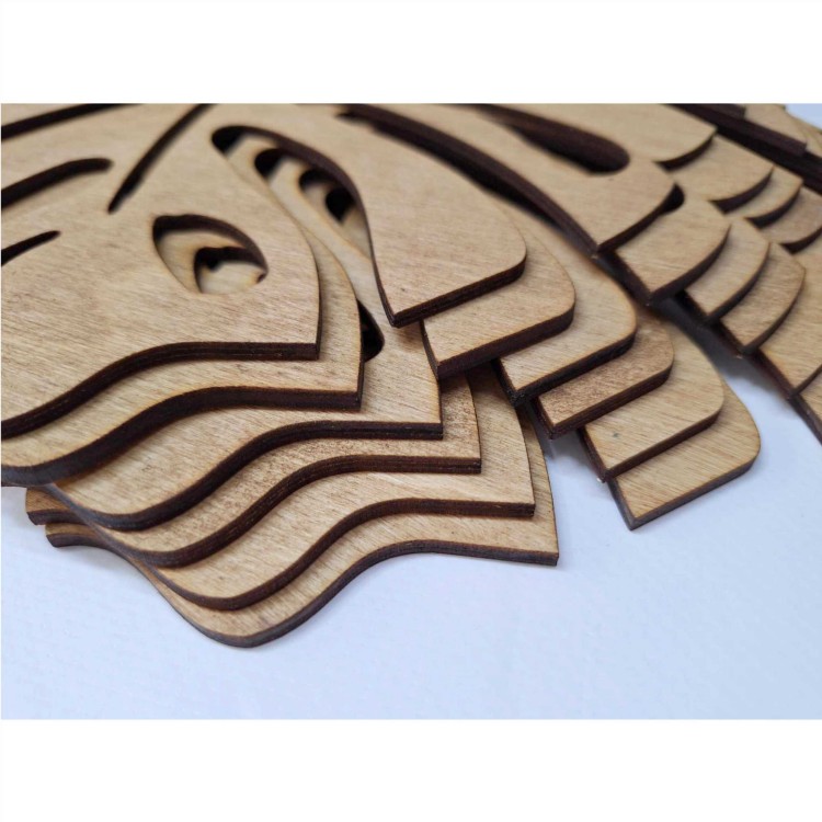 mosterra drew zestaw4.jpg