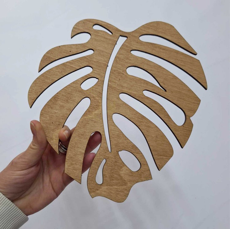 mosterra drew zestaw2.jpg