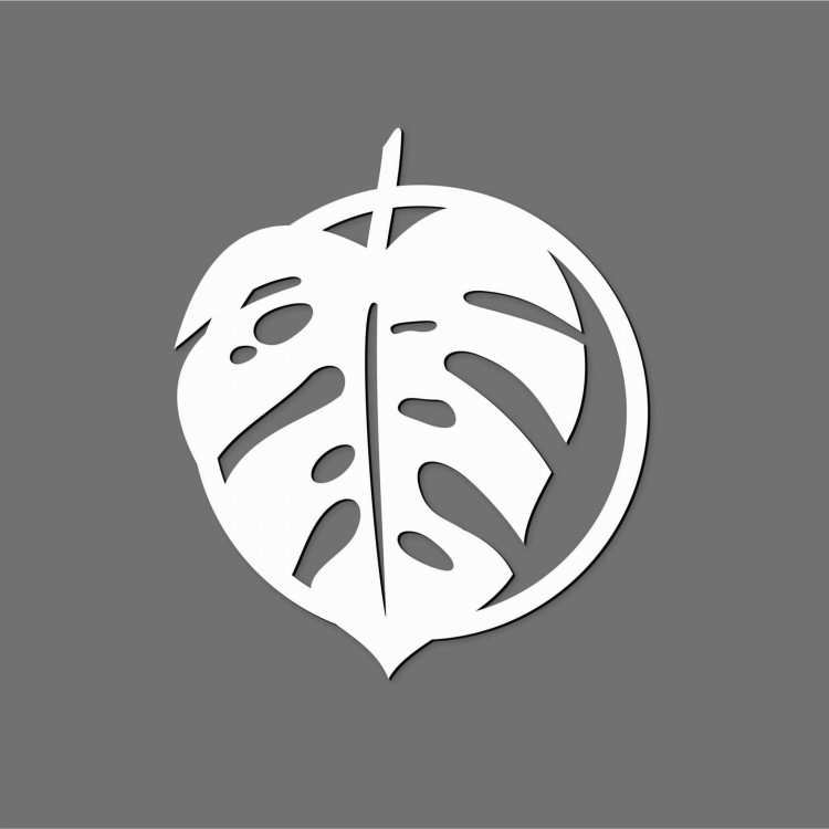 monstera w kółku biała2.jpg