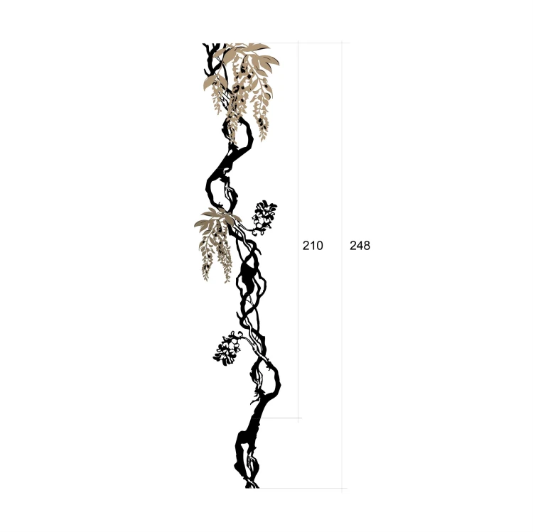 wisteria z wymiarami