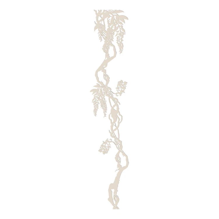 wisteria kaszmir