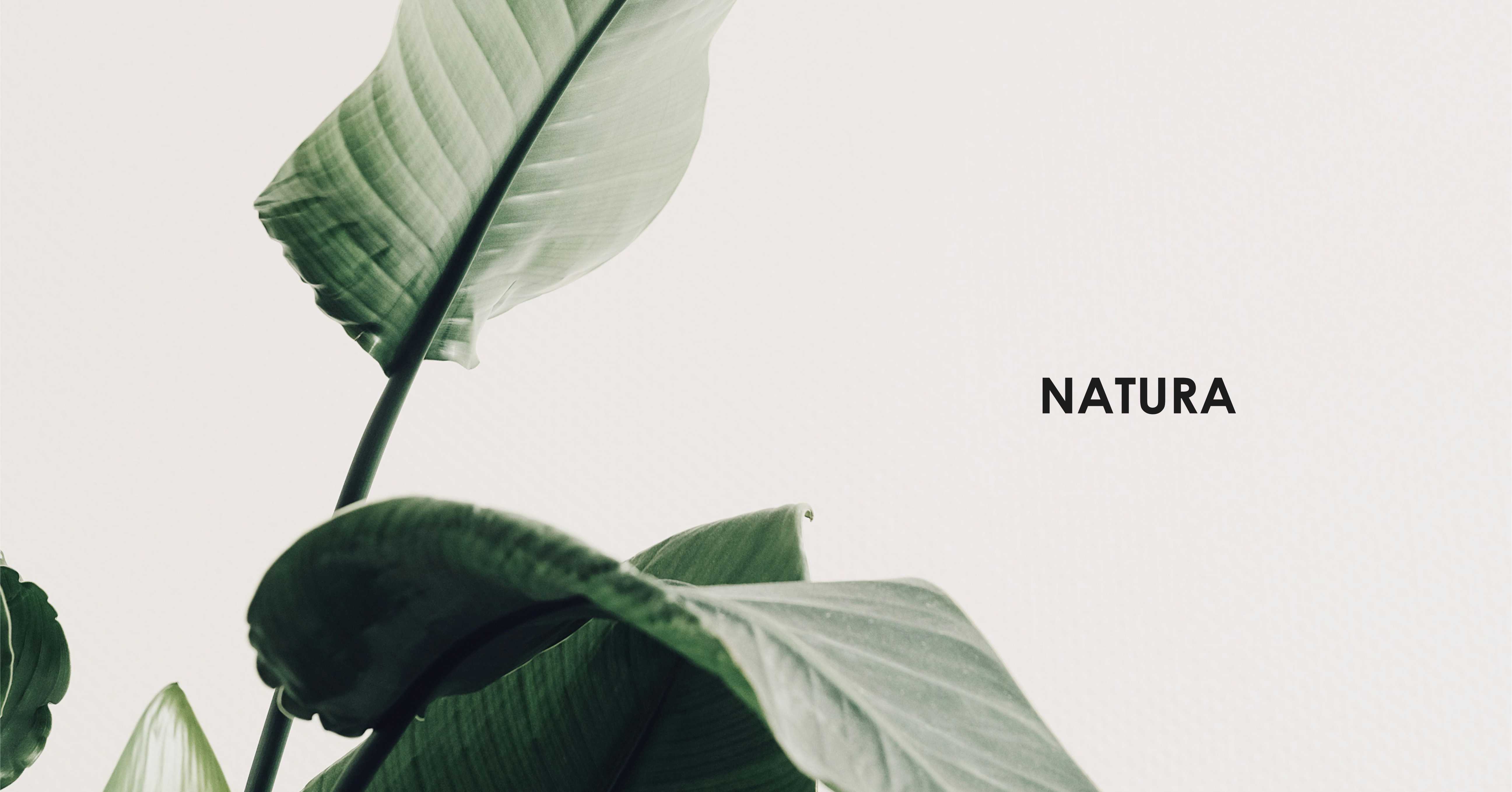 dekoracje na ścianę z motywami natury