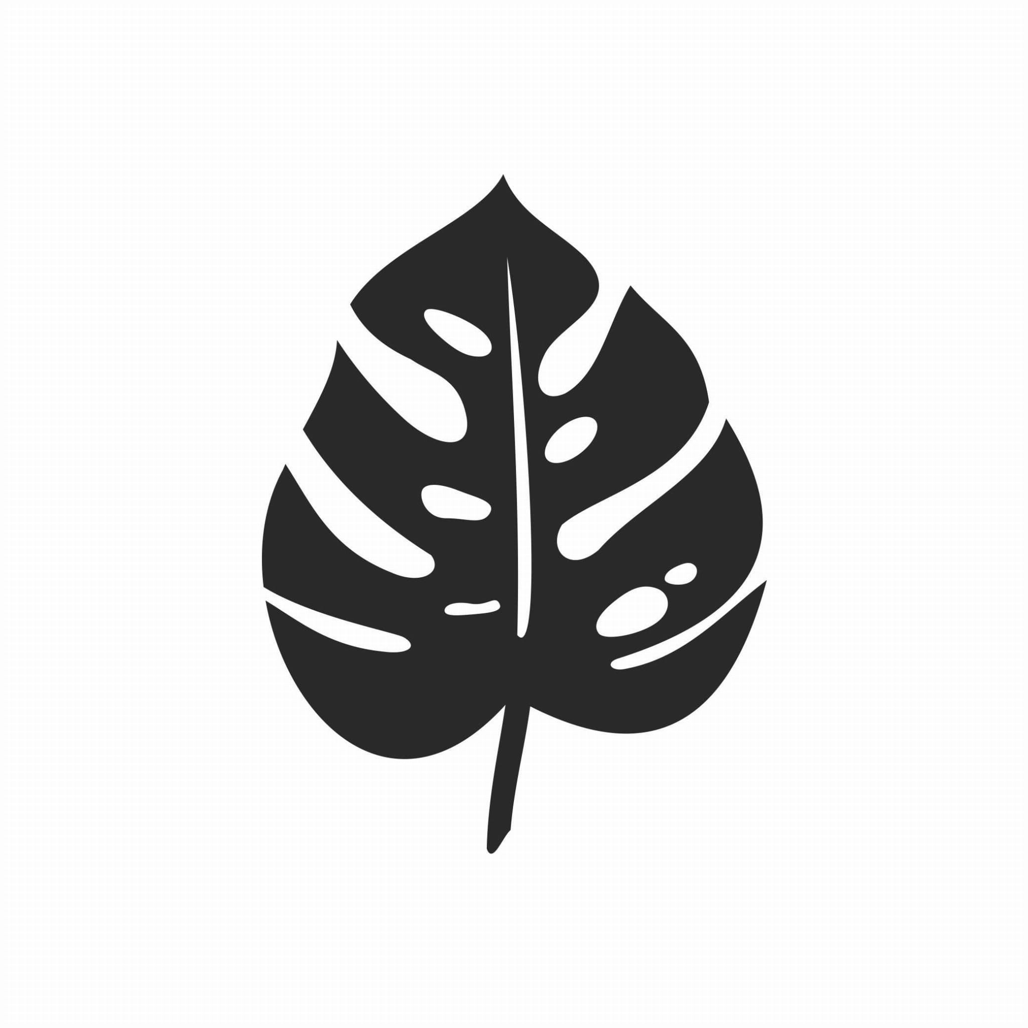gingelly plant Black Sesame